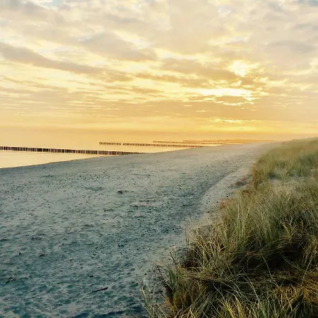 Chalet Zingst Apartment Zingst